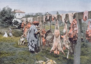 Boucherie arabe en Algérie, fin du XIXe siècle - French Photographer